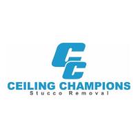 Ceiling Champions image 19